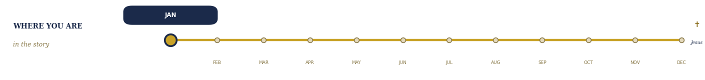 Where you are in the Bible story: January highlighted on the 12-month journey
